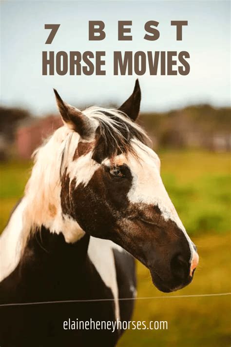 Tribeca Film Festival 2023. . Horse riders needed for film 2023